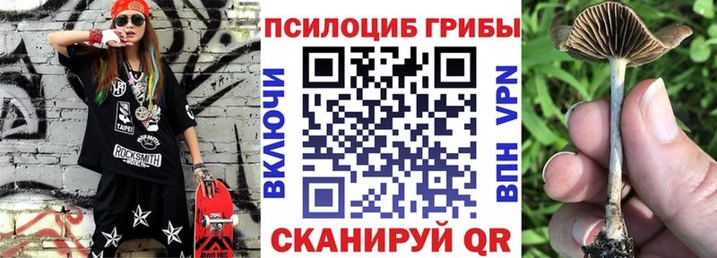 Галлюциногенные грибы Psilocybe  Купить где  Шлиссельбург 